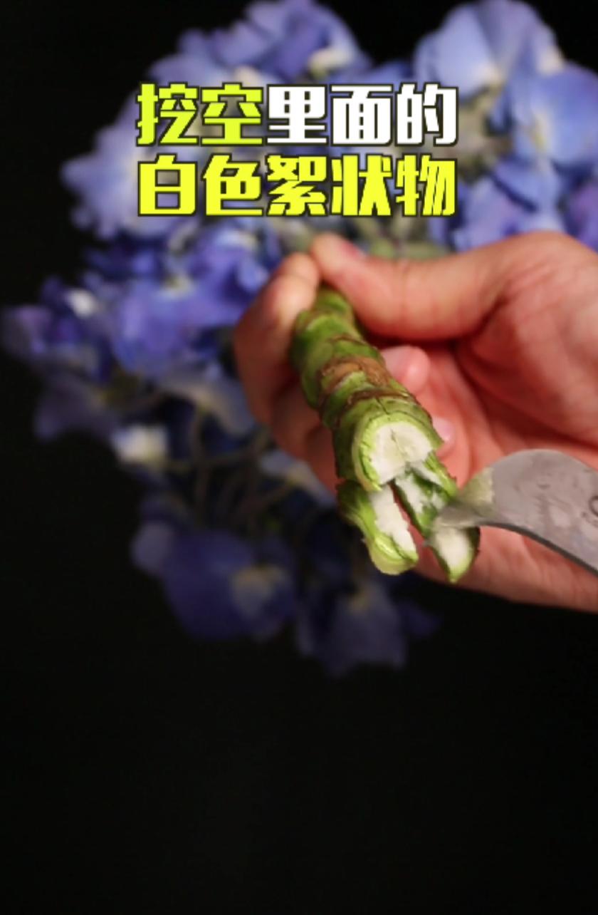 绣球花买回来一天就蔫了怎么办,绣球花彻底蔫了怎么办