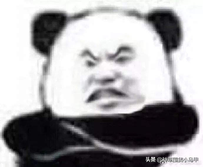 明星代言过哪些微商产品,有哪些明星代言过微商