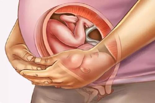 怀孕营养跟不上对胎儿有什么影响,肚子小是不是胎宝宝吸收不好