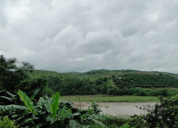广东钓土鲮鱼用多大的子线和钩子,南宁用什么饵料钓土鲮