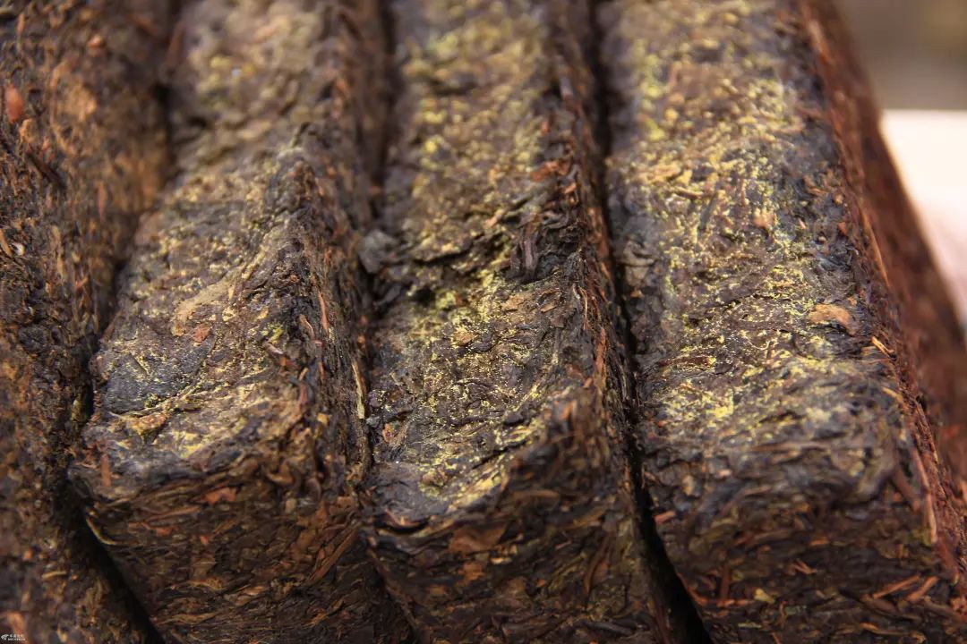 茶｜什么是紧压茶？压成大饼会更好喝吗？