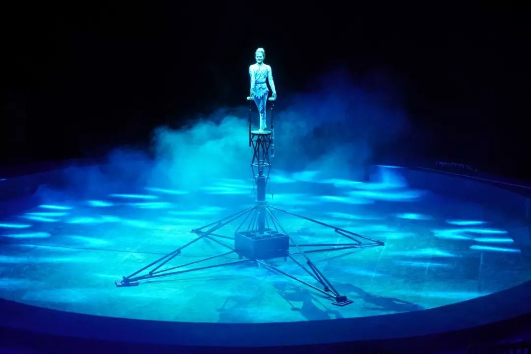 金牛湖野生动物王国过年去怎么样,金牛湖野生动物王国游玩时间