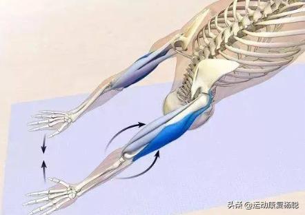 肩关节弹响的原因和解决办法,偏瘫患者肩关节弹响怎么回事