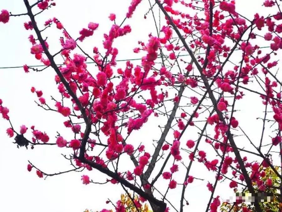 有个地方叫巴中抖音版,平昌好玩的地方