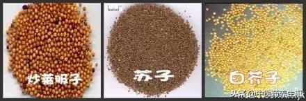 单桂敏艾灸除百病全部视频教程,湿去百病除