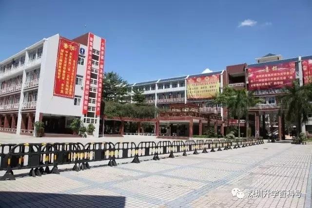 深圳人挤破头都想进的10座小学,深圳人最想进的小学