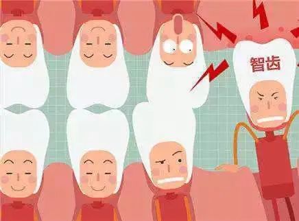 成都人的生活与美食,成都人的吃喝玩乐