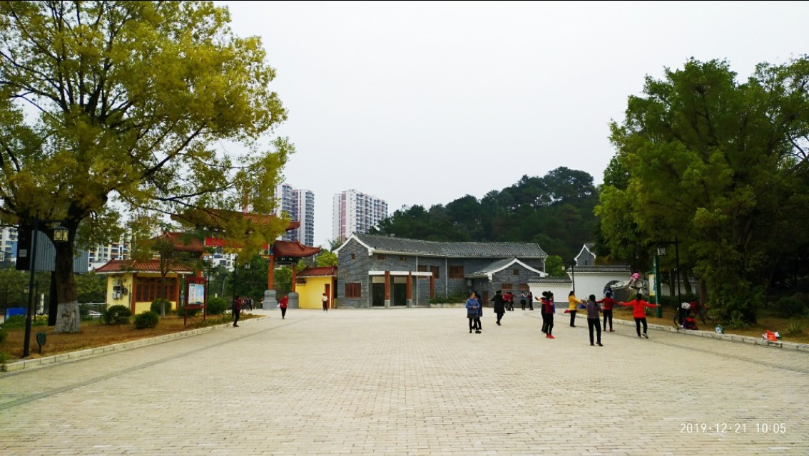 双鹤起舞松林醉——游灵山双鹤公园偶感