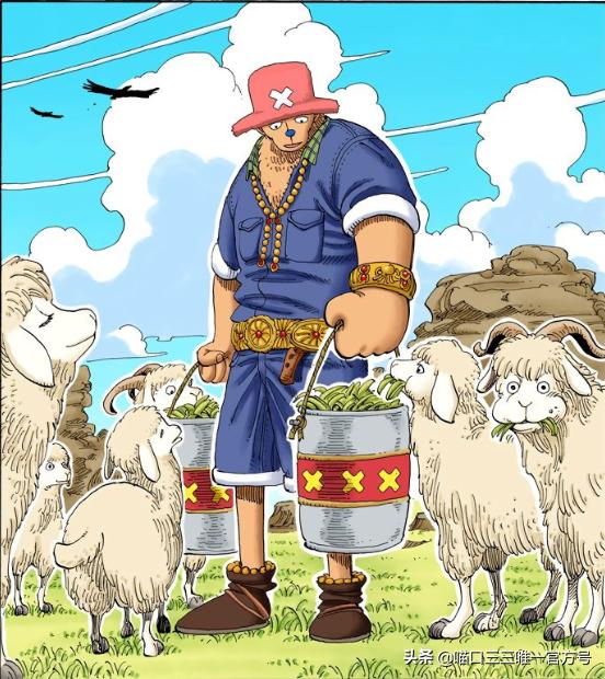 海贼王娜美登场是哪集,海贼王金狮子剧场版娜美