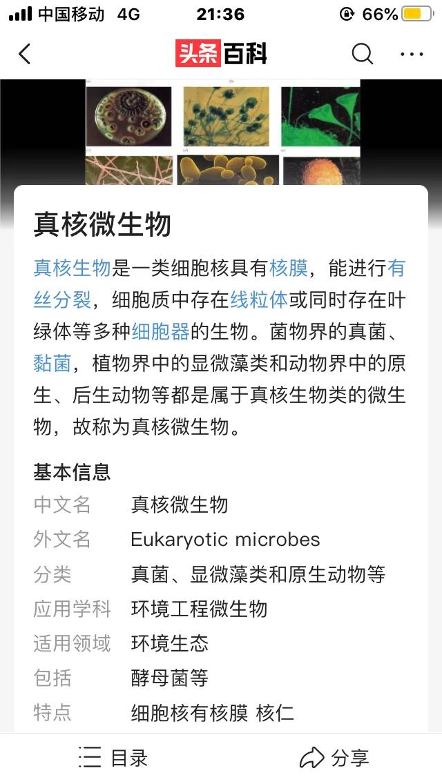 物种起源纪录片,物种的起源全文免费阅读