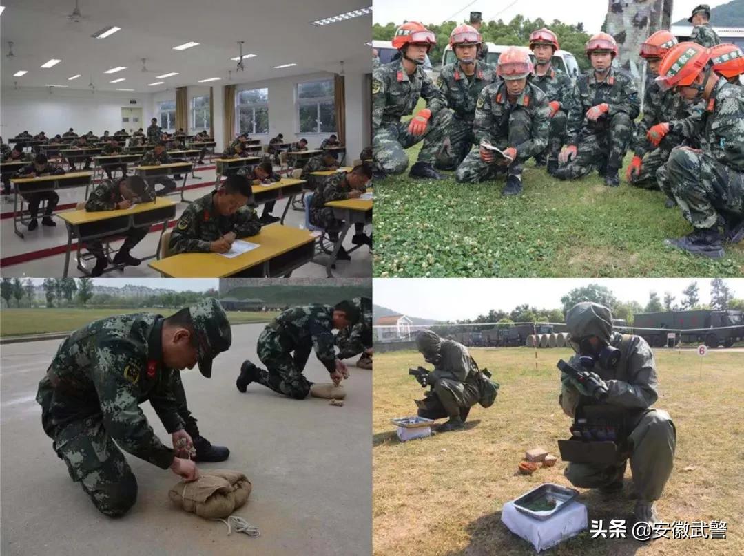 纪实视频,记实记录