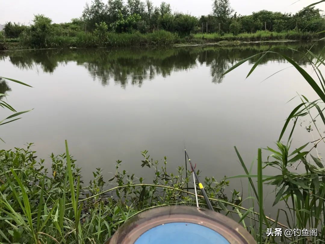 连续几天钓一个窝子鱼越钓越小,经常在同一个位置鱼越钓越小了