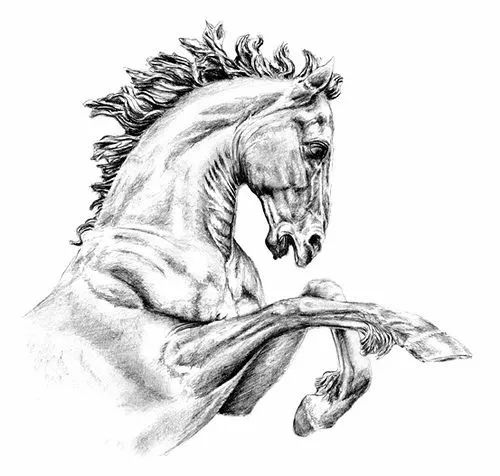 绱犳弿鍏ラ棬鍔ㄧ墿,绱犳弿鍔ㄧ墿瑙ｆ瀽