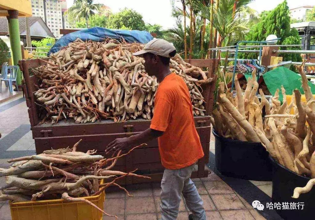 马来西亚落地免签,马来西亚官宣免签