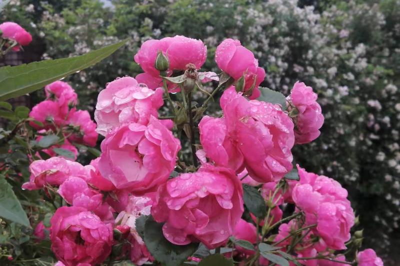 如何面对你讨厌的群体,面对讨厌的人怎么控制自己的情绪