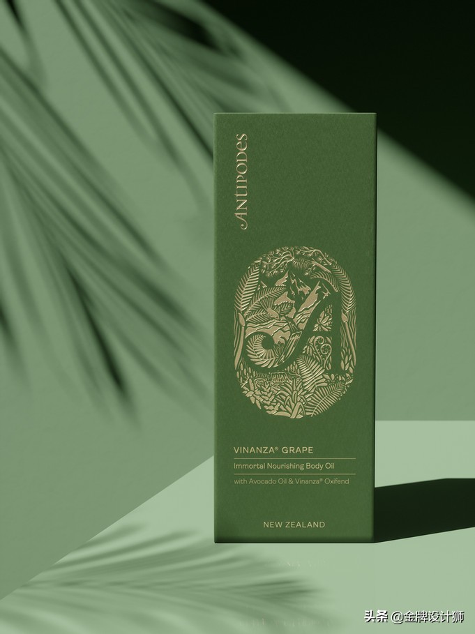 包装ai设计样板,包装设计ai素材