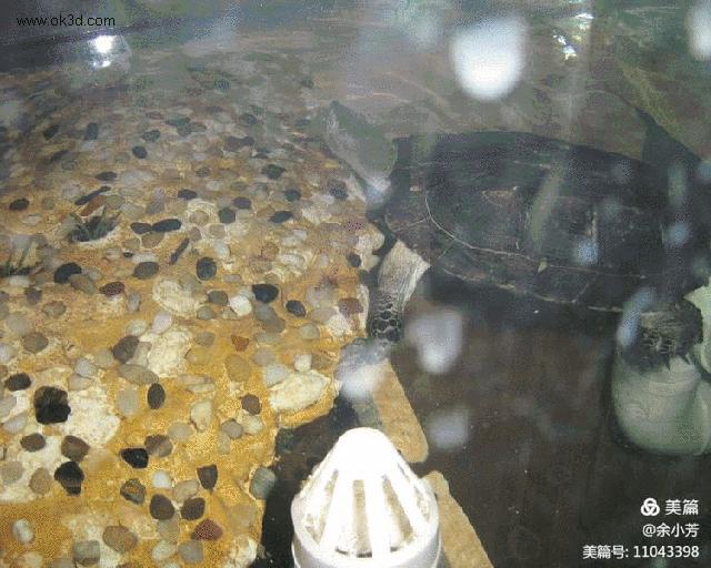 上海野生昆虫馆,上海昆虫馆门票多少