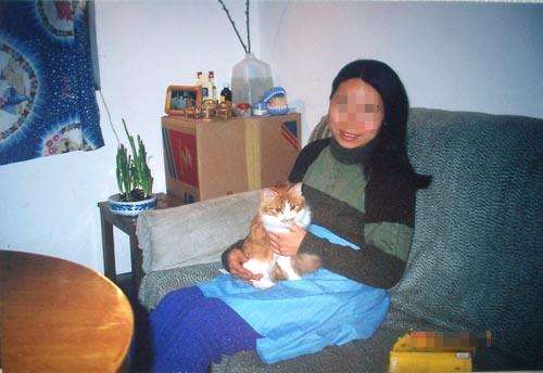 中国从古至今养猫的历史,各个时期猫对比图片