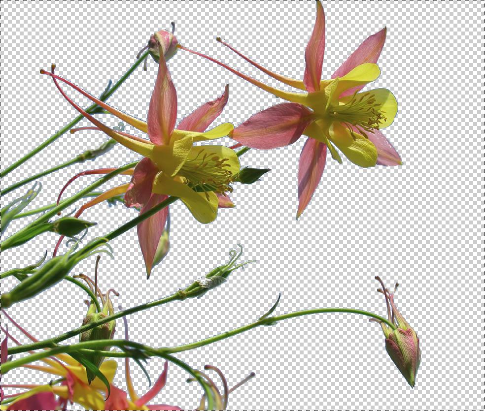 ps平面抠图教程图解,ps抠图如何互换衣服颜色