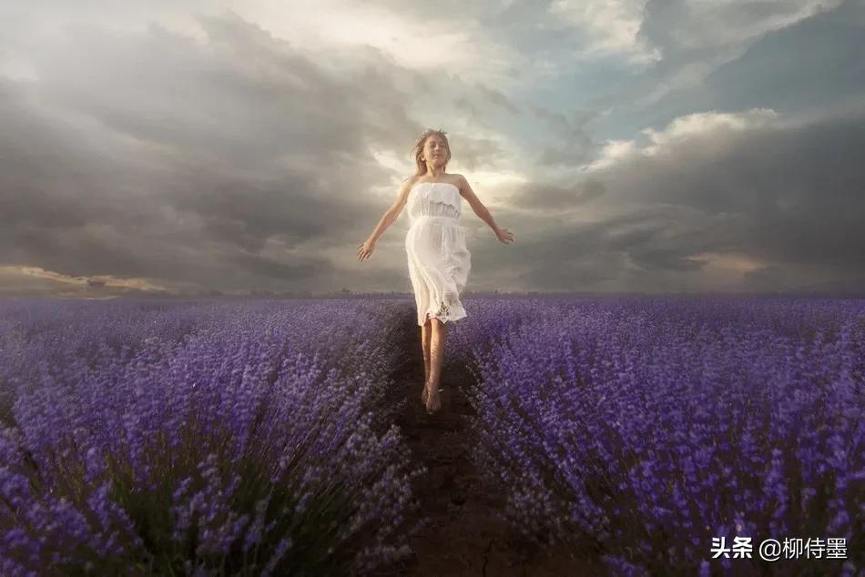 薰衣草花田拍照姿势大全,秋季薰衣草庄园拍照技巧