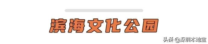 深圳大湾区未来5年的发展,深圳经济特区宝安