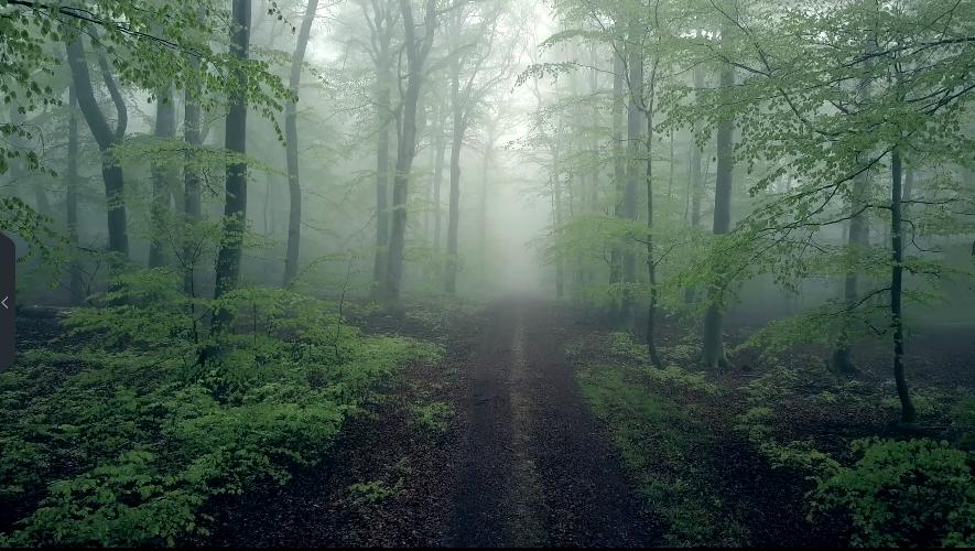 雷神之锤对战昊天锤究竟谁更强,雷神之锤世界纪录