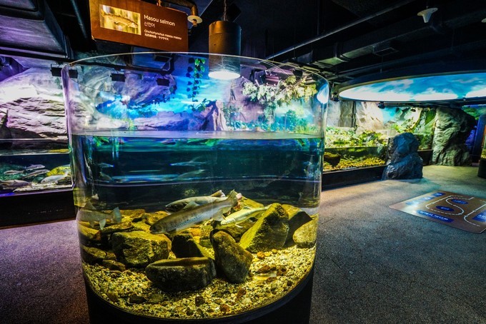 去韩国必买清单,韩国购物攻略衣服