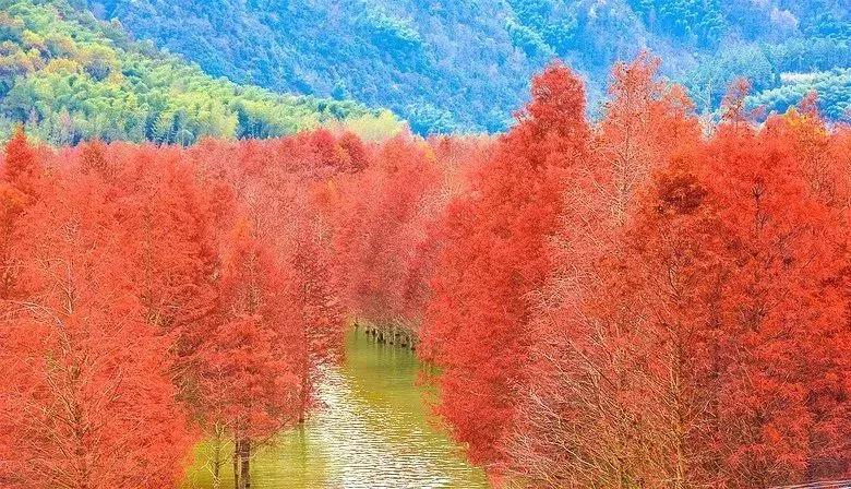 10月下旬徽州摄影推荐,金秋皖南婺源摄影之旅