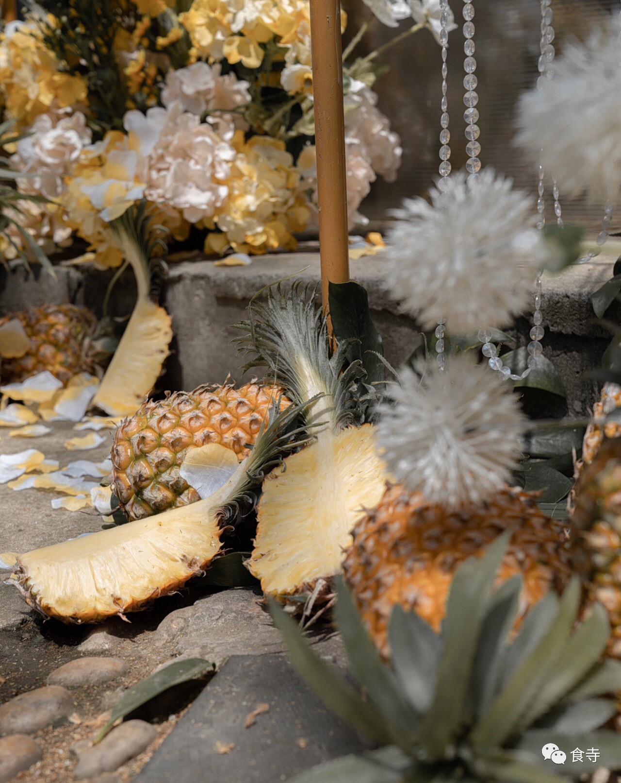 ​我是怎么用一个菠萝度过一天的？