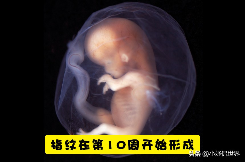 分娩知识,孕妇分娩宫缩知识