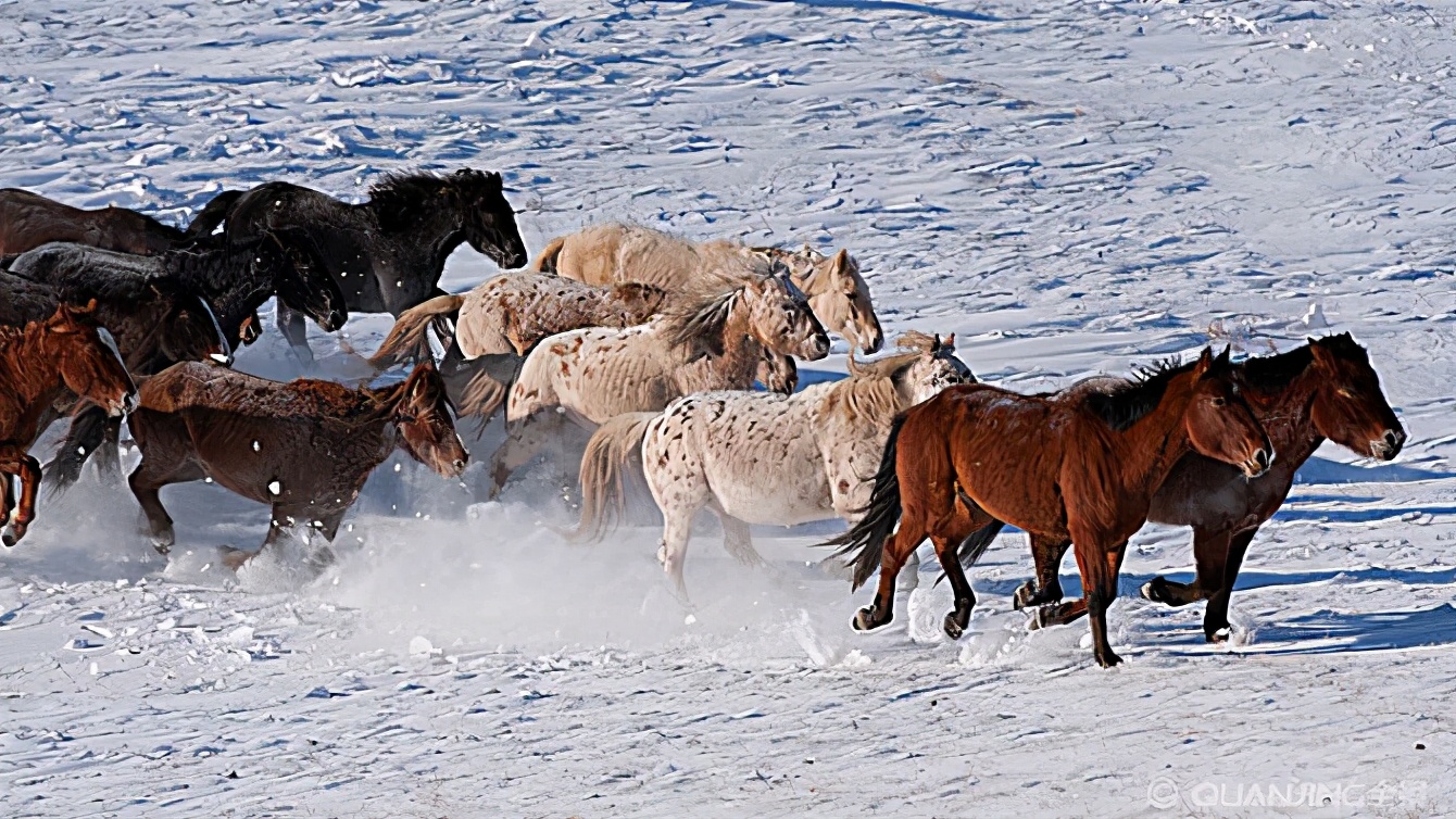 鄂尔多斯人方言起源,鄂尔多斯蒙古人的起源