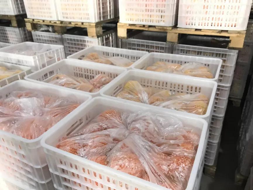 西昌黄联关镇：小石榴做出大文章软籽石榴映“红”乡村致富路