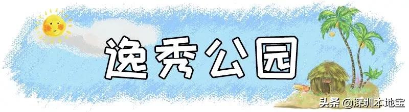 深圳免费的景点有哪些地方,深圳有哪些免费又好玩的地方景点