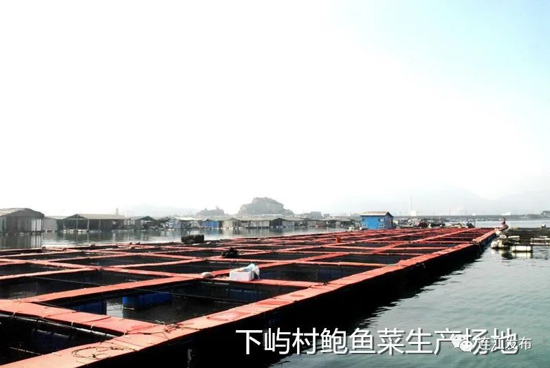 访谈|坑园镇刘然副镇长介绍“乡村振兴”工作情况