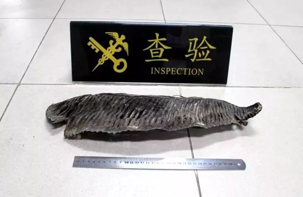 去香港有哪些要注意的事,到香港旅游一定要注意的5件事