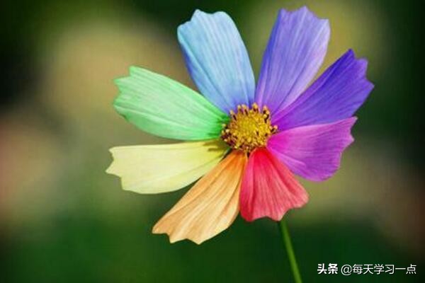 运气不好的人该怎么改变,时运不好养什么可以改变运气