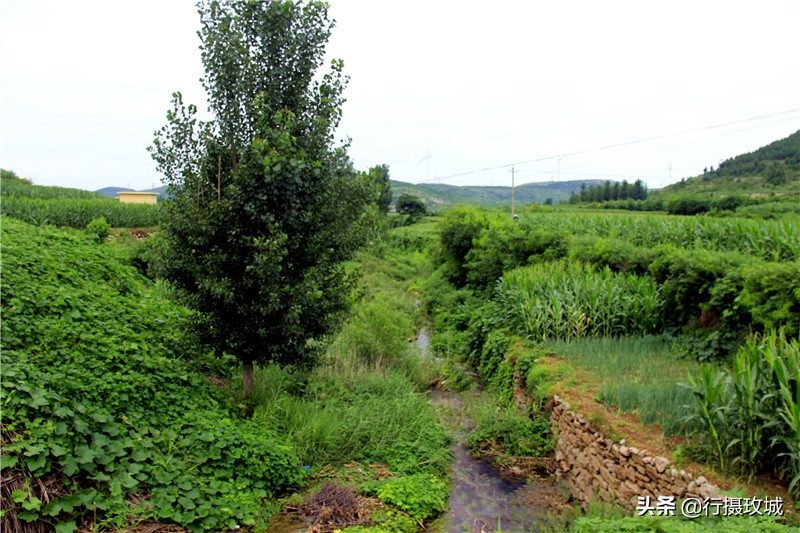 平阴县毛铺八里沟,平阴安城毛铺水库