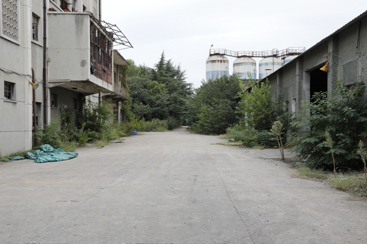 武汉东西湖产的雪花啤酒,东西湖雪花啤酒厂2015年