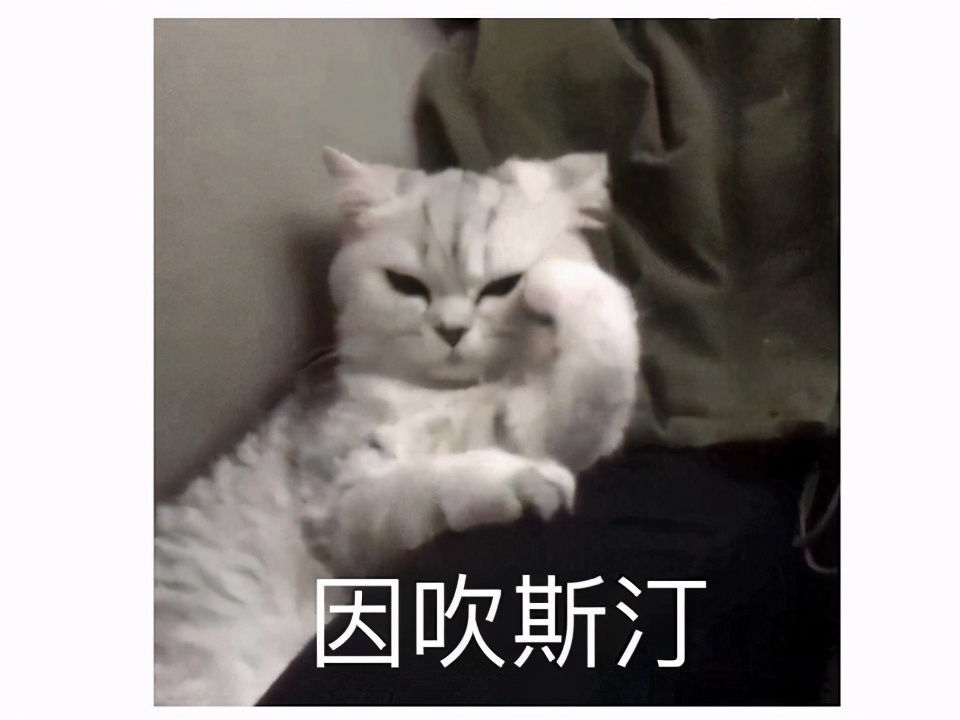 搞笑的冷笑话最好能笑死,非常搞笑的冷笑话大全