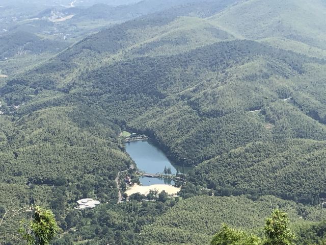 宜兴竹海自然风景图片,清新的竹林风景图片