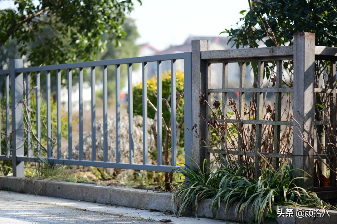 就趁现在，花园最忙碌的季节|园丁