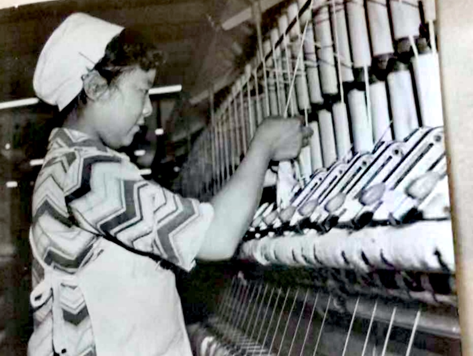 南棉老照片,南棉老照片大全