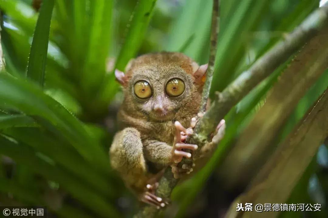 这就是菲律宾,岛上菲律宾