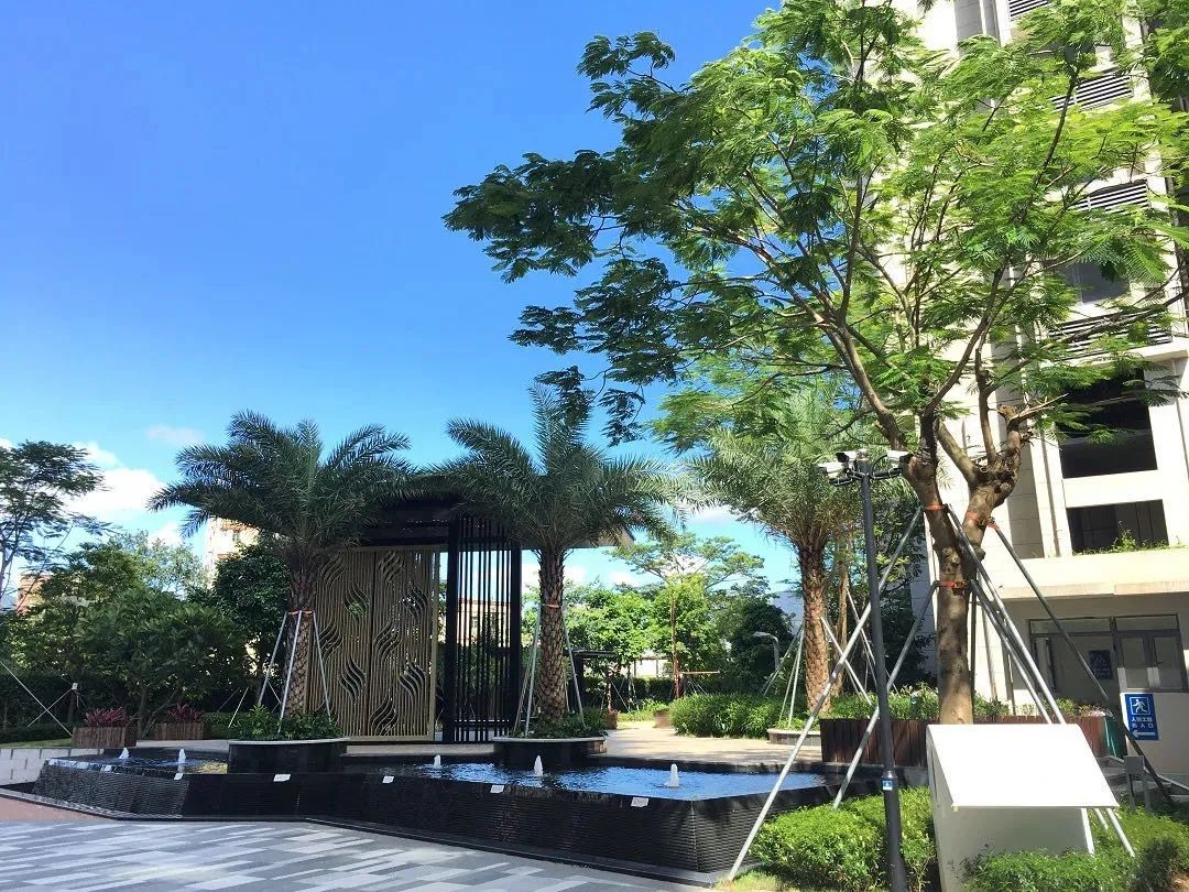 几十万在深圳买一个3房2厅的房子,首期25万买3房