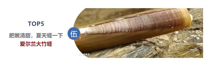 最好吃的海鲜都有哪些,顶级进口海鲜排行榜