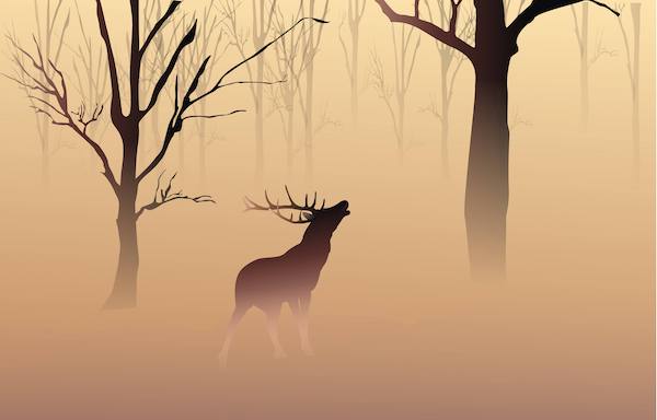 诗经中鹿鸣的文化,诗经中的鹿鸣解读