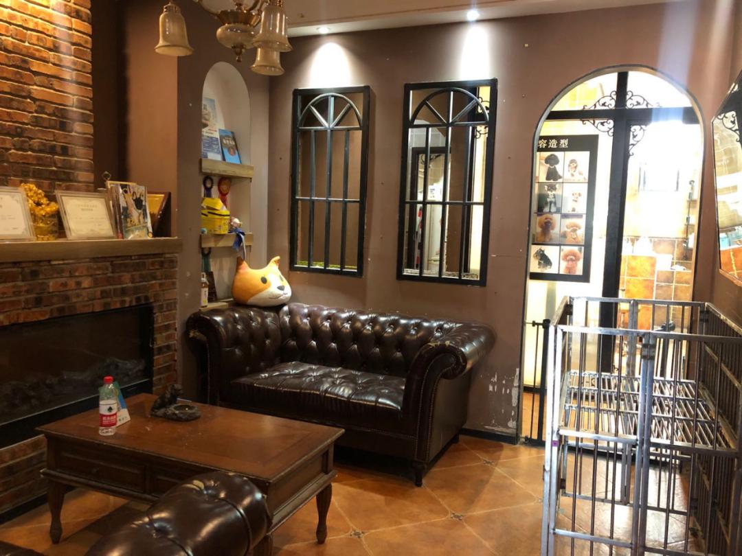 北京宠物店月流水,北京开宠物猫店渠道有哪些