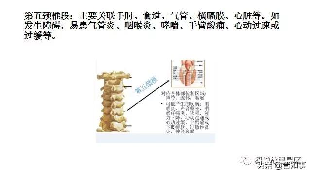 忻州薛氏正骨,忻州古城傅山苑