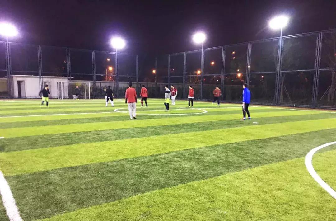 鏍″洯鍔炲叕浣撻獙,娌夋蹈寮忔牎鍥