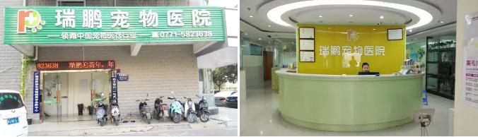 南宁二十四小时宠物医院,南宁宠物医院24小时急诊多少钱